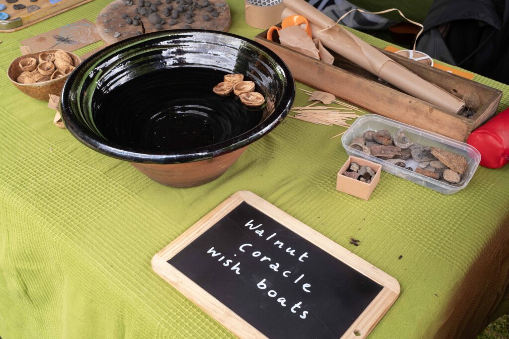 walnut coracles reduced