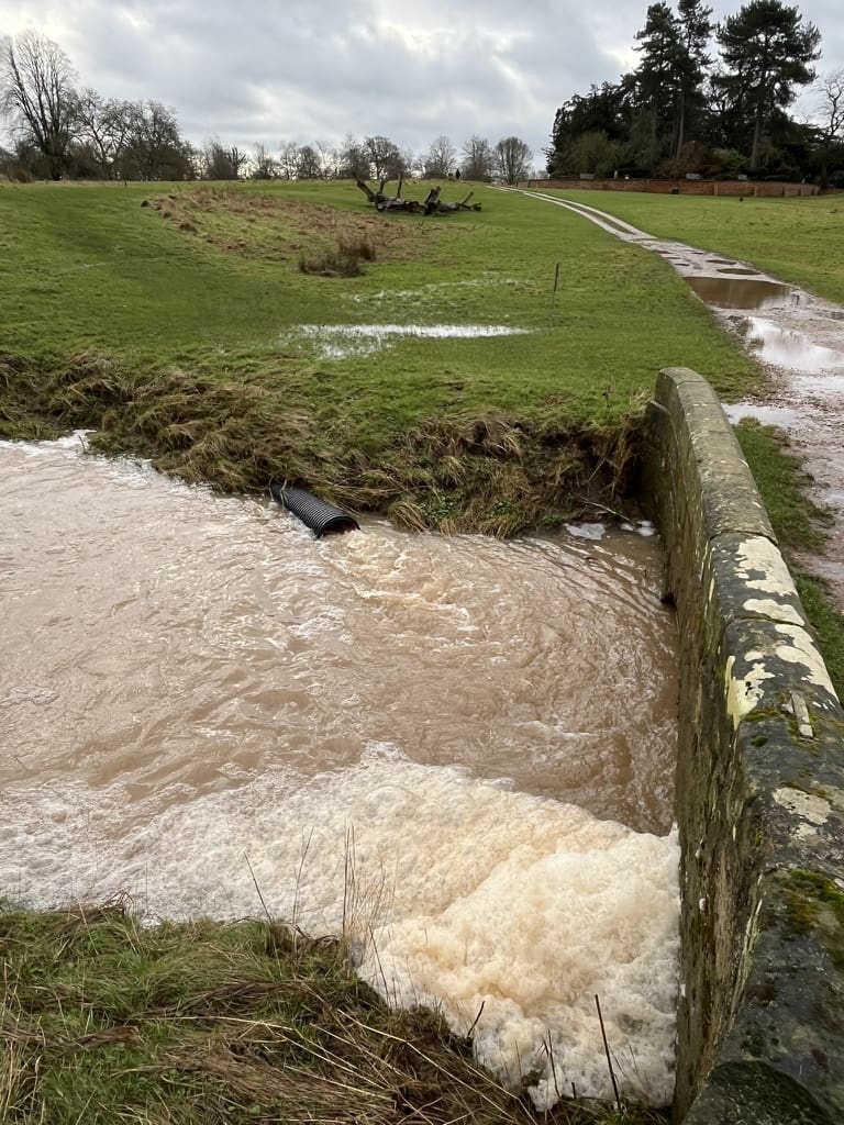 58ed6a9b 1196 48c7 a522 9fb39feb4569 1 105 c