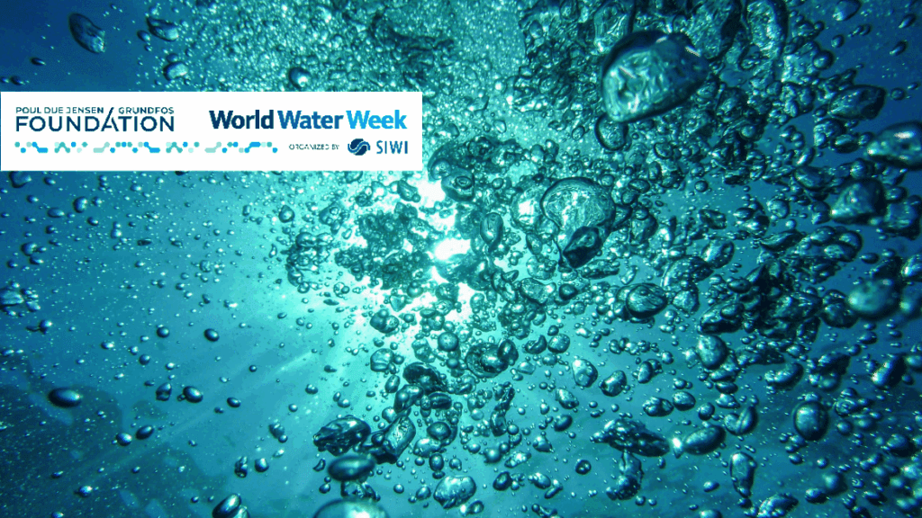 world water week