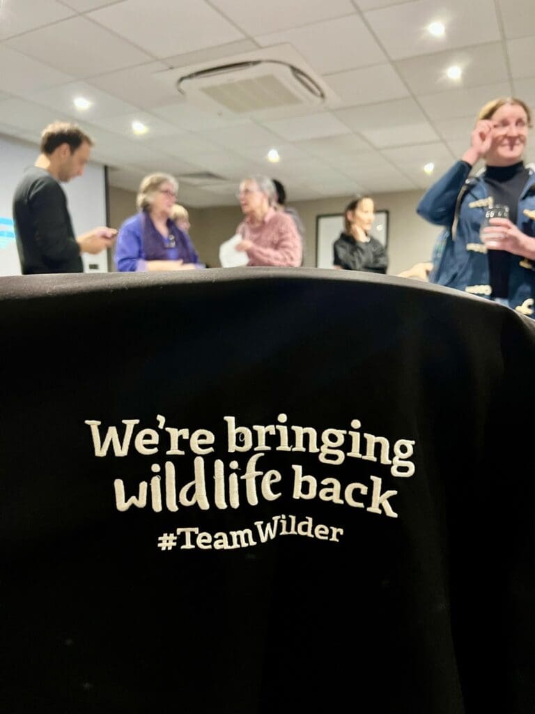 wwt team wilder 1 dec 2025