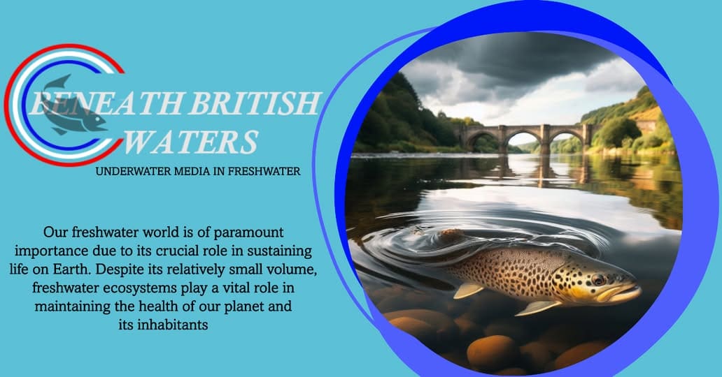 Seeing rivers from under the water