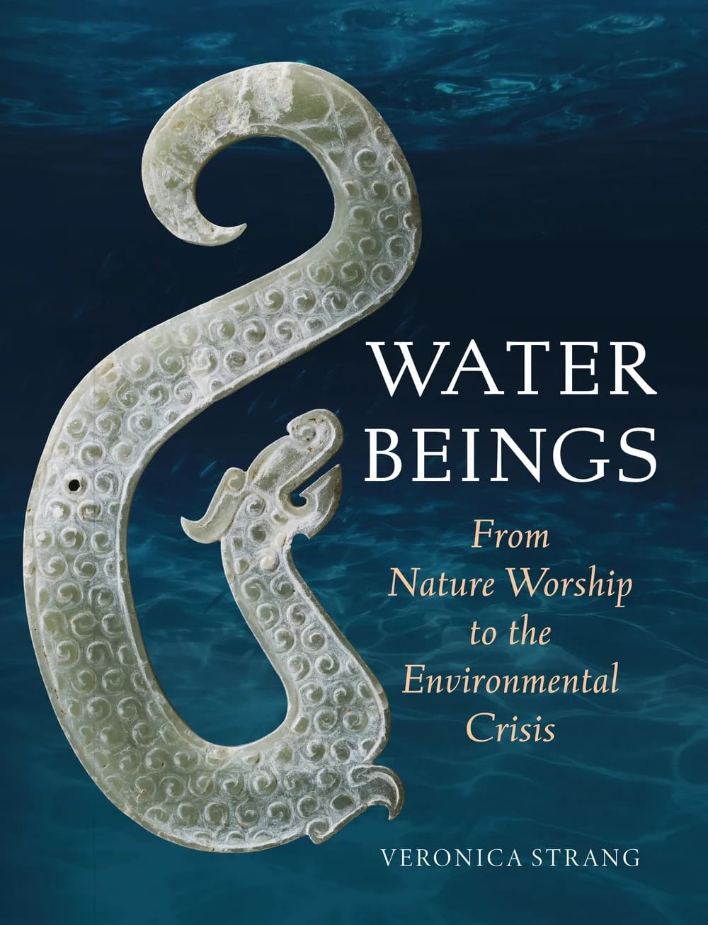 "Waterbeings" talk by Veronica Strang